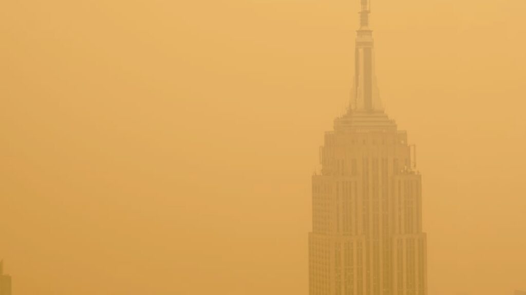 Wildfire Smoke Filter Isn’t Enough: How to Really Protect Indoor Air