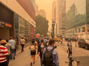 Building Science Bulletin – August 2026